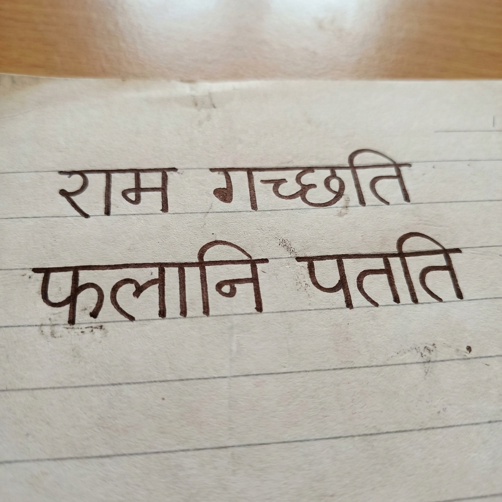 Sanskrit (संस्कृत) - Unit Test 1 - Page 1